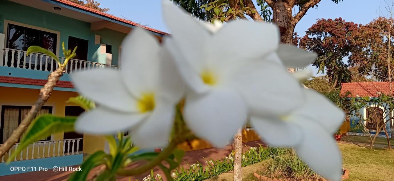 Hill Rock Goa Coconut Inn Arombol Terekhol Exterior photo